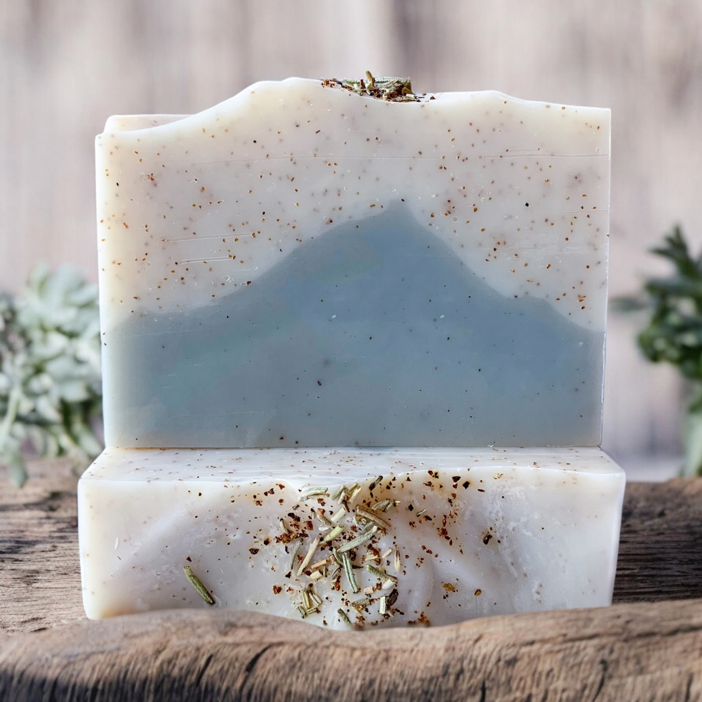 Blue Ridge ⸙ Botanical Soap